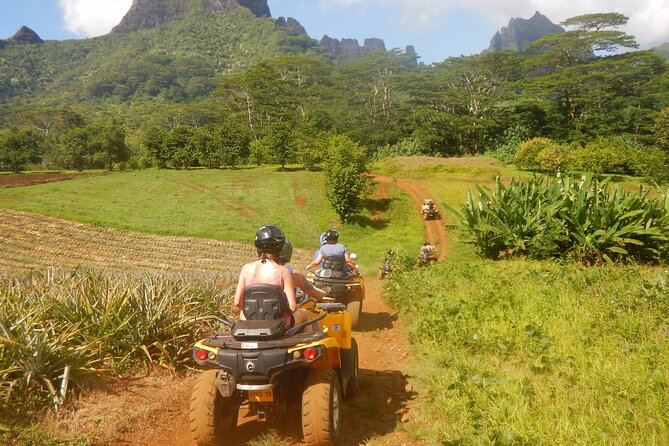 Medium Magical Combo in Moorea of 2 hours of Jetski and 3h30 of Quad - Rays, blacktip sharks, and the final swim