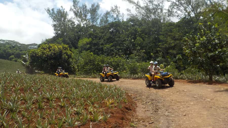 Mo'orea: Guided ATV Nature Tour - Why an ATV is a smart way to see Moorea