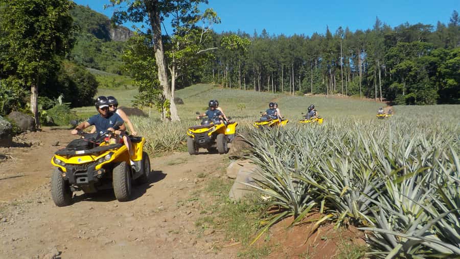 Mo'orea: Guided ATV Nature Tour - Pineapple fields, fruit stops, and local flavors
