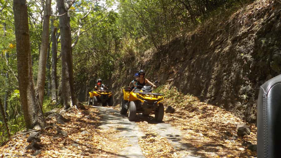 Mo'orea: Guided ATV Nature Tour - Price, timing, and what you receive