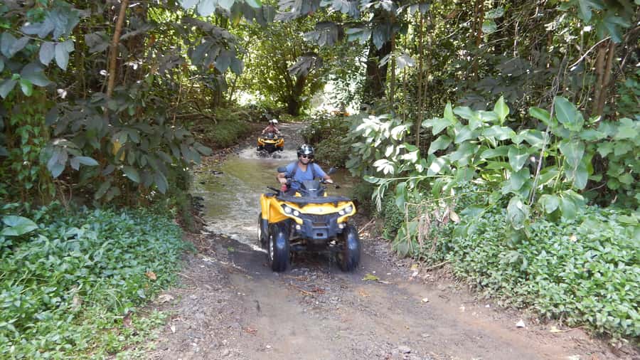 Mo'orea: Guided ATV Nature Tour - Starting in the Opunohu Valley