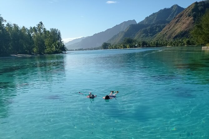 Mo'orea Half Day Private Tour with Snorkeling and Cruising the Lagoon - The Famous Sharks And Rays Area