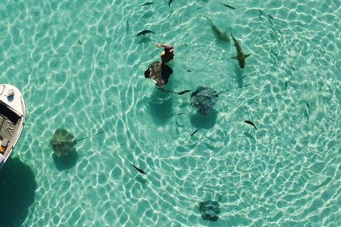 Mo'orea Half Day Private Tour with Snorkeling and Cruising the Lagoon - Cruising Moorea’s Uncrowded West Coast