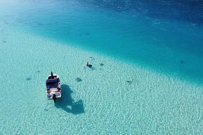 Mo'orea Half Day Private Tour with Snorkeling and Cruising the Lagoon - The Secret Coral Garden