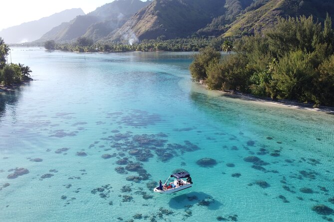 Mo'orea Half Day Private Tour with Snorkeling and Cruising the Lagoon - Fruit, Drinks, And The Ride Back