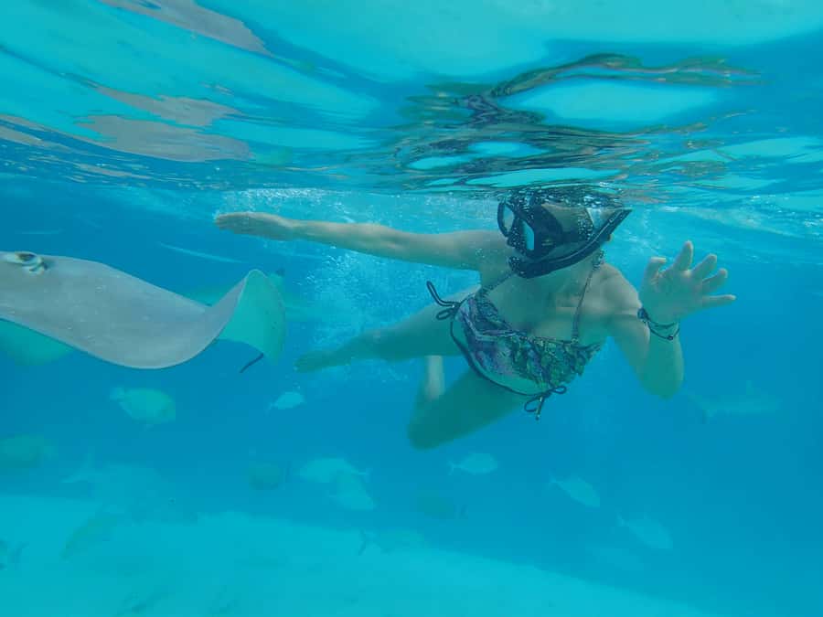 Moorea 4H Shared Boat Tour Whale Swimming and Snorkeling - Booking Details You Should Know Before You Go