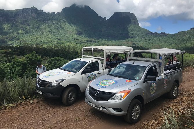 Moorea 4WD Tour Inc. Belvedere, Pineapple Farm, Magic Mountain... - Key points at a glance