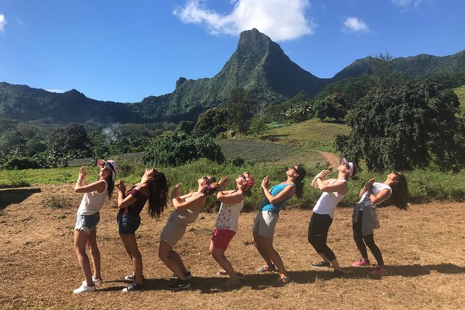 Moorea 4WD Tour Inc. Belvedere, Pineapple Farm, Magic Mountain... - Distillery stop and the final tasting