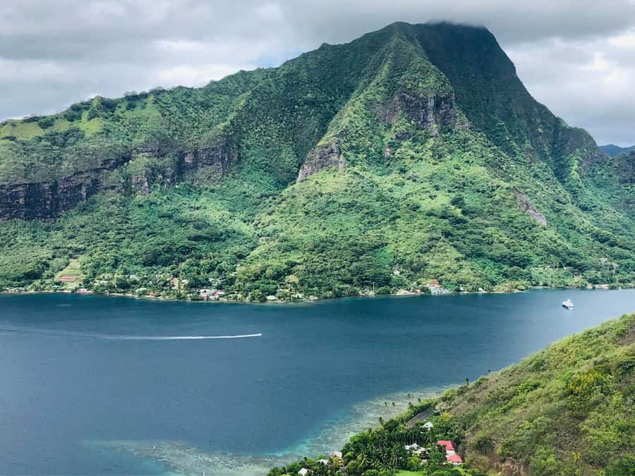 Moorea:4X4 safari excursion between land and sea with lunch - Rotui fruit juice and liquor tasting