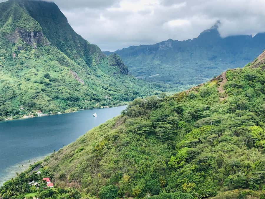 Moorea:4X4 safari excursion between land and sea with lunch - Coconut demonstrations and local music