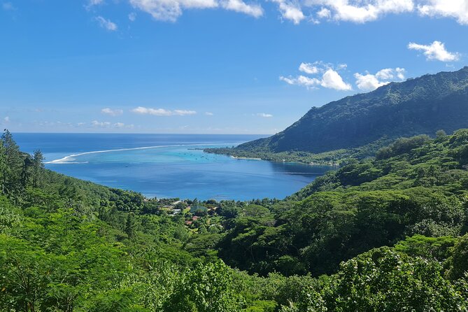 Moorea Aito 4WD Safari Tour - Half day - Belvedere Lookout and two famous bays