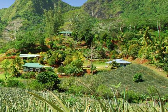 Moorea Aito 4WD Safari Tour - Half day - What the $64.98 price buys you