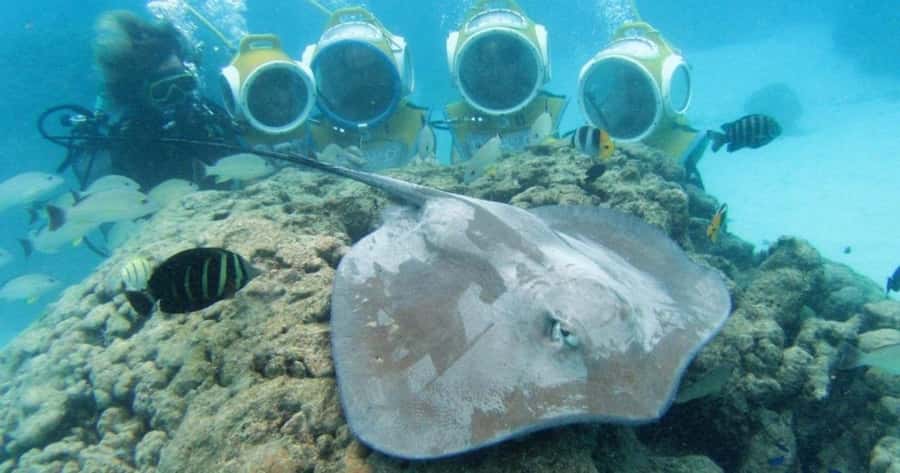 Moorea: Aquablue Helmet Underwater Walking Experience - The briefing and getting into the water