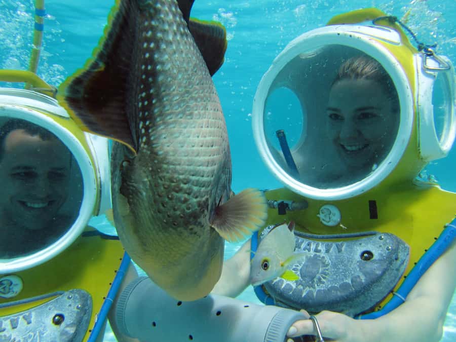 Moorea: Aquablue Helmet Underwater Walking Experience - Is $103 a fair price?
