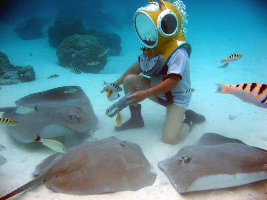 Moorea: Aquablue Helmet Underwater Walking Experience - The family question