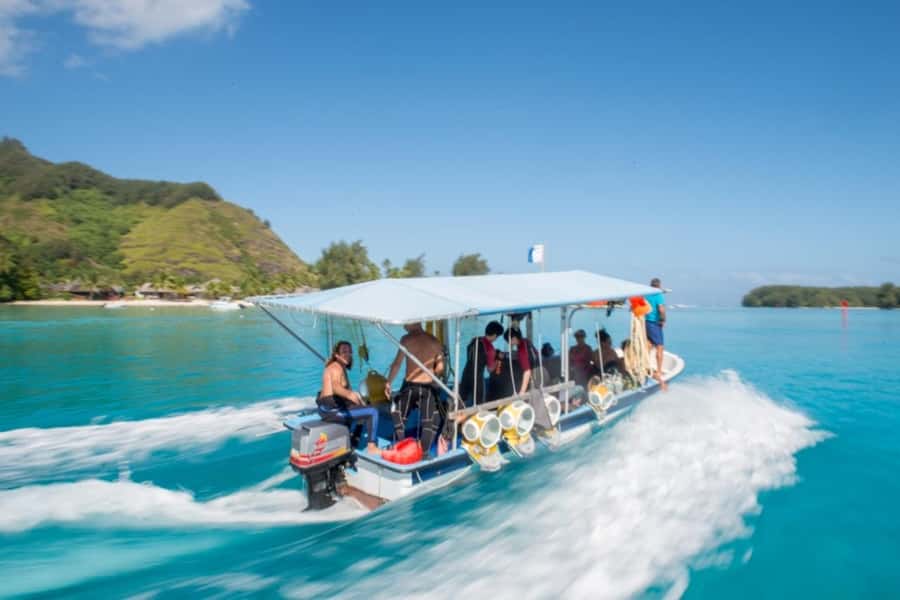 Moorea: Aquablue Helmet Underwater Walking Experience - From your hotel to the Moorea lagoon