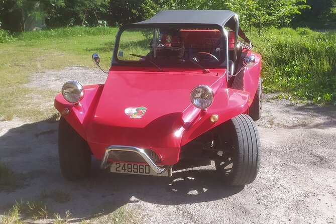 Moorea Buggy Rental - Key points to know before you book