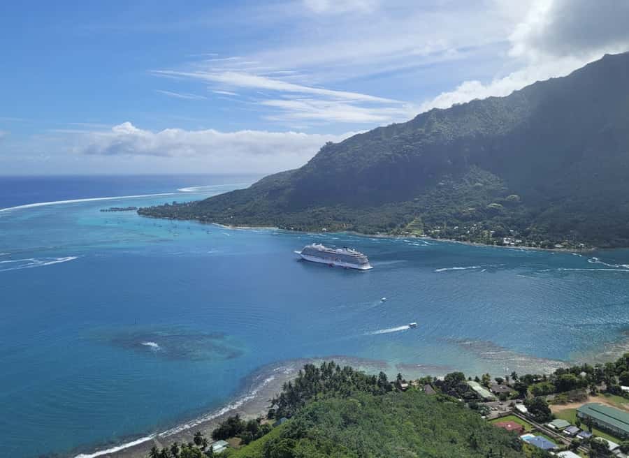 Moorea Cruise Ships 4x4, Belvedere Magic mount PRIVATE Tours - Tropical Fruit, Jam, and Fresh Coconut