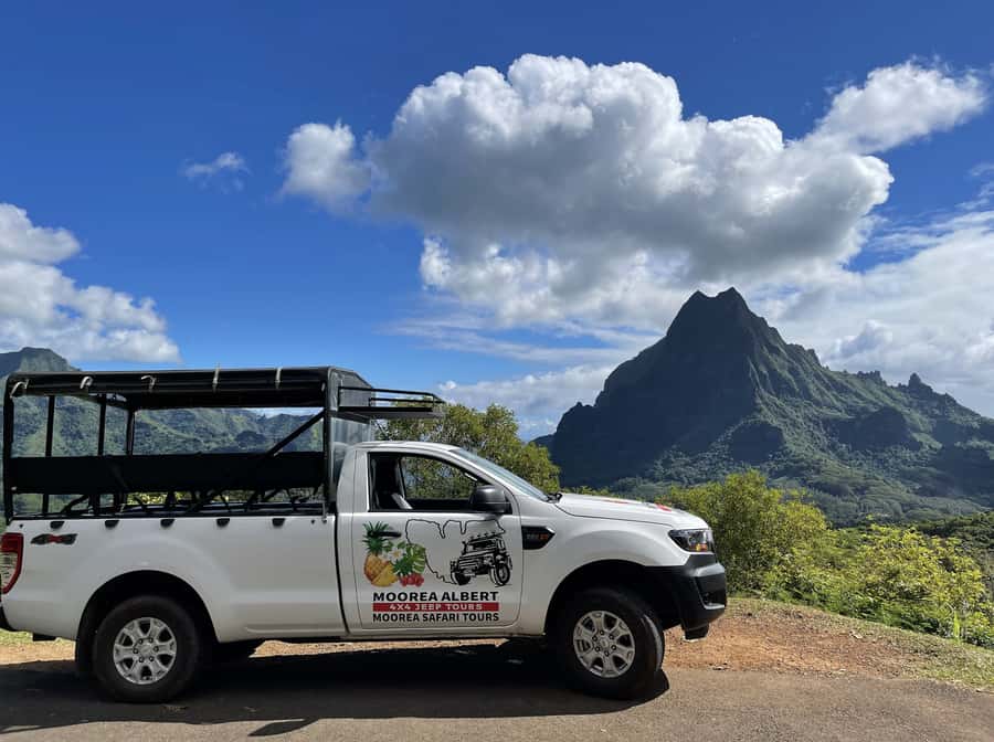 Moorea Cruise Ships: 4x4, Belvedere,Magic Mountain pineaple - The juice factory and distillery stop