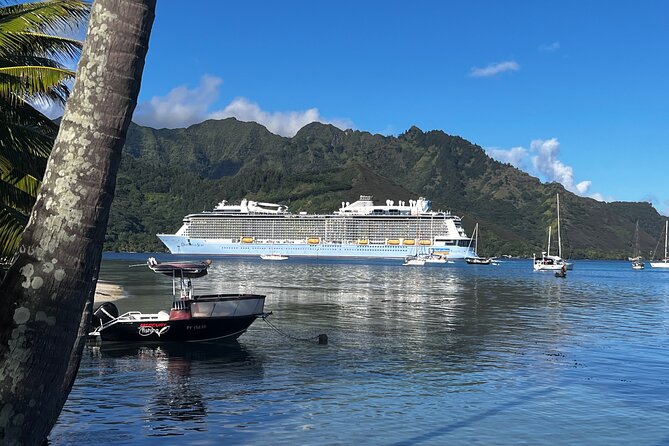 Moorea Cruise Ships: 4x4, Belvedere, Pineapple, & Magic Mountain - Pineapple country shows Moorea beyond the beaches