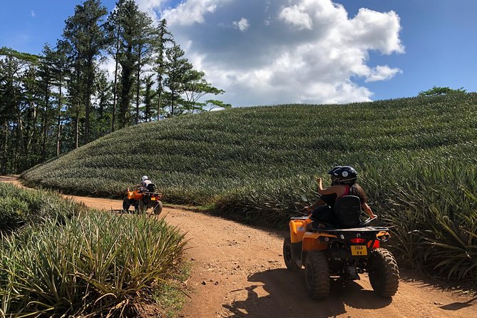 Moorea Explorer Atv Quad Tour - Pineapple Fields, Farms, and Moorea’s Inland Life