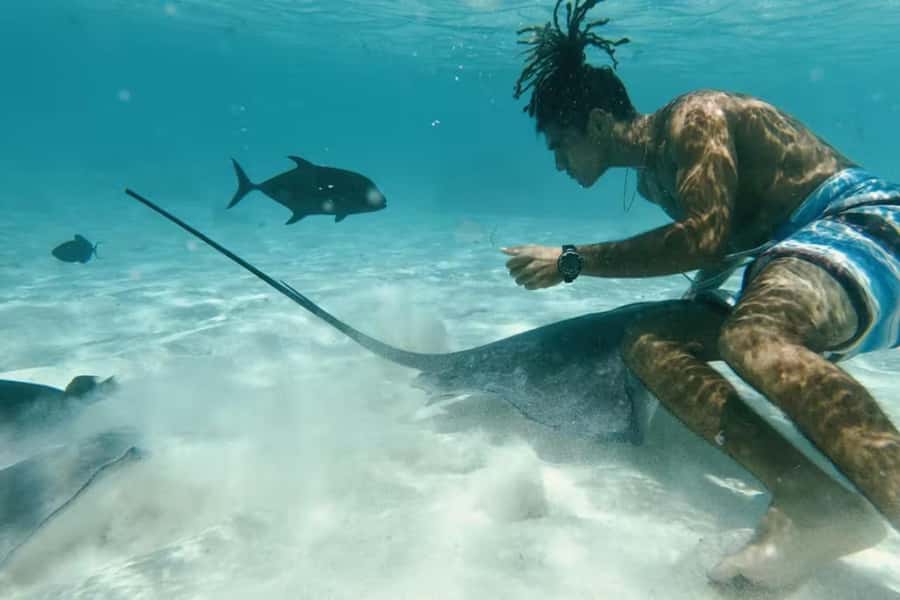 Moorea: Glass Bottom Boat Adventure with Lagoon Wonders - Key points at a glance