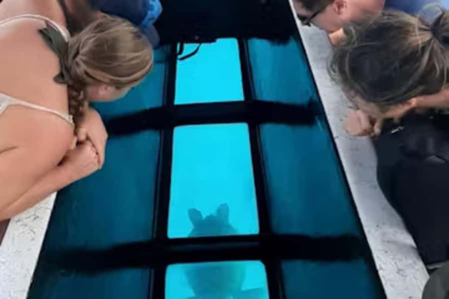 Moorea: Glass Bottom Boat Adventure with Lagoon Wonders - Reading Moorea’s underwater tikis