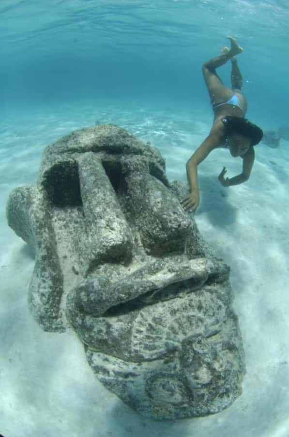 Moorea: Glass Bottom Boat Adventure with Lagoon Wonders - Rays and black-tip reef sharks at the sandbar