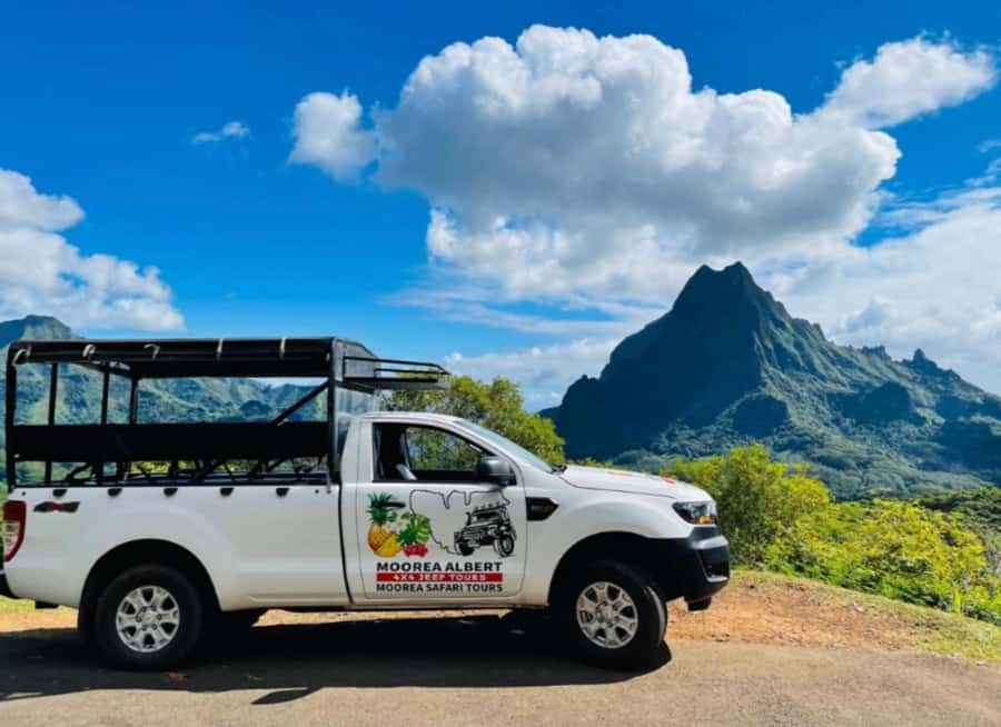 Moorea: Half-Day Open-Air 4WD Safari with Hotel Transfers - Freshwater eels on the secret stop