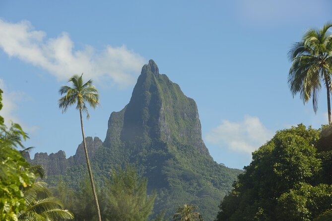 Moorea Highlights Private Tour: Natural and Cultural Attraction - Why a private circuit makes sense on Moorea