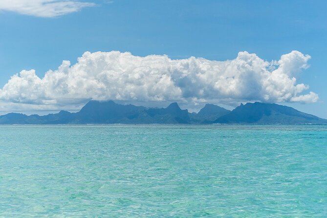 Moorea Highlights Private Tour: Natural and Cultural Attraction - The Pineapple Route brings you into island farm country