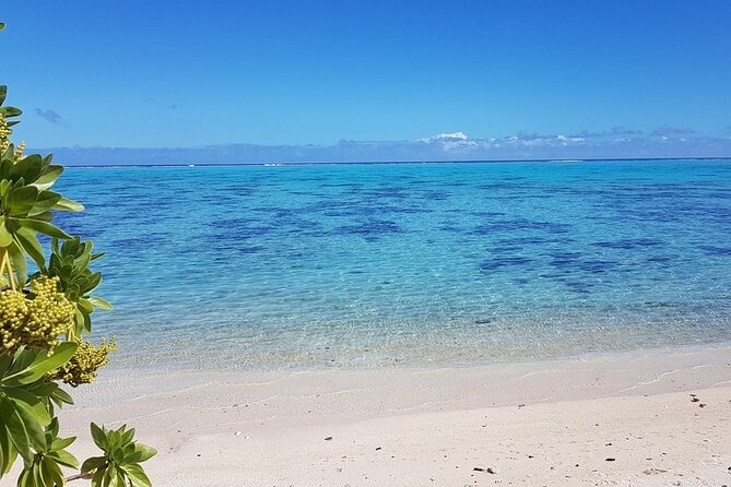 Moorea Highlights Private Tour: Natural and Cultural Attraction - Belvedere Lookout frames two famous bays