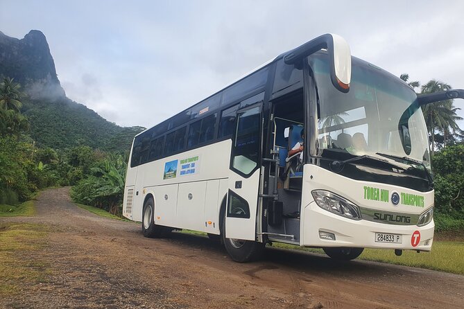 Moorea Island Tour - What this three-hour Moorea tour is really for