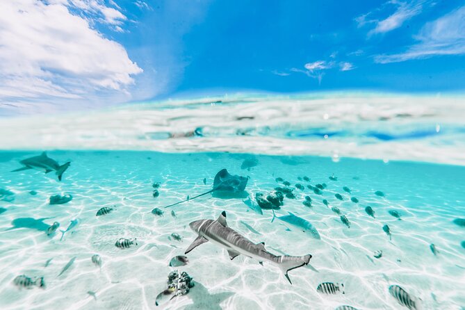 Moorea: Private 4-Hour High-End Boat Excursion - Crossing the reef near Haapiti