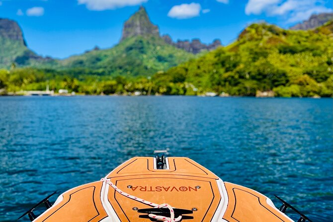 Moorea: Private 4-Hour High-End Boat Excursion - Rays and black-tip sharks in the lagoon