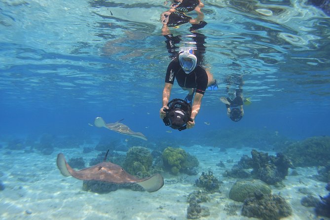 Moorea Private Boat Tour / Sea Scooter Snorkeling Tour - Who will get the most from this tour