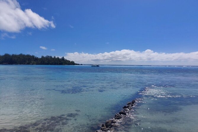 Moorea Private Full Day Tour - Maharepa and the everyday side of Moorea