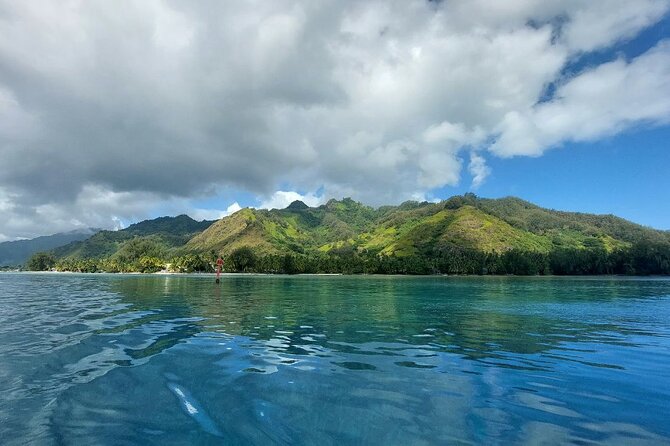 Moorea Private Full Day Tour - Opunohu Bay and the valley road