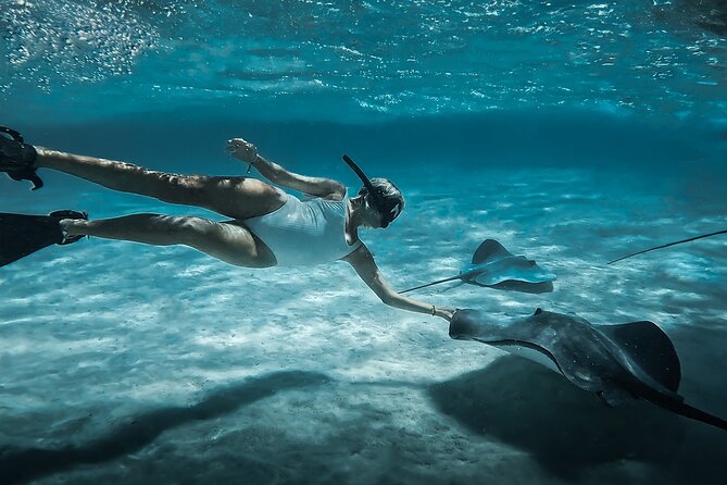 Moorea: Private Snorkeling Tour with Certify Guide - Key points to know before booking