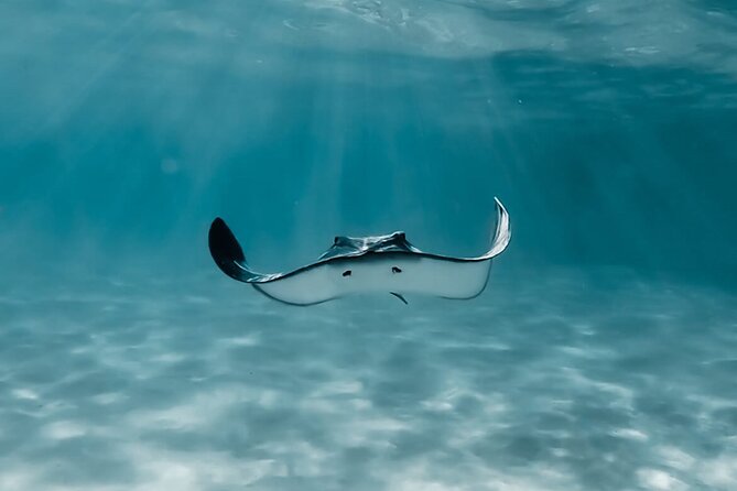 Moorea: Private Snorkeling Tour with Certify Guide - Why this private Moorea boat trip feels different