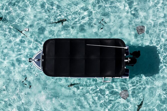 Moorea: Private Snorkeling Tour with Certify Guide - Who will enjoy this most?