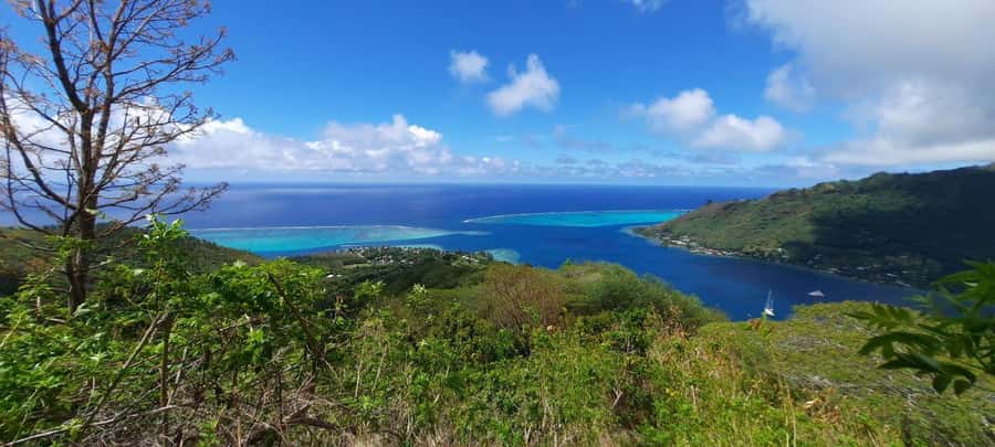 Moorea : Safari Nature and Culture Tour with local guide - Cook’s Bay connects Moorea with early navigators