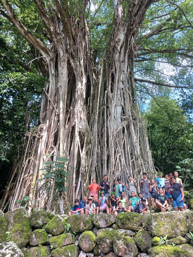 Moorea : Safari Nature and Culture Tour with local guide - Opunohu’s archaeological site brings the past into focus