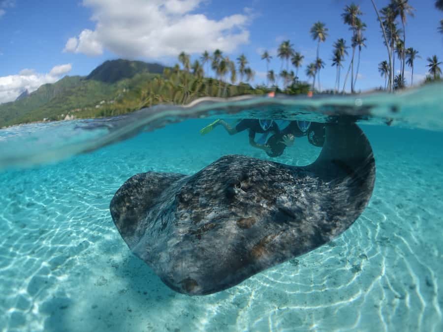 Moorea: Sea Scooter Snorkeling Tour - Starting at Sofitel Kia Ora’s Nautical Center