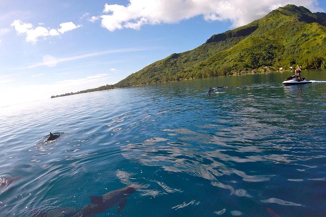 Moorea Solo or Twin 3 hours Jet Ski Tour - Guides who make the difference