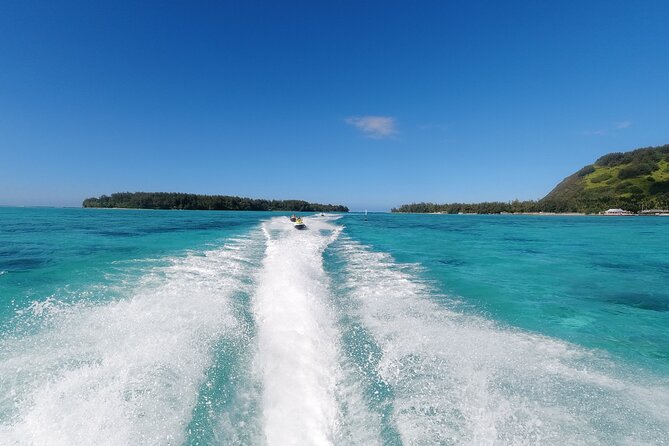 Moorea Solo or Twin Island Tour Jet Ski 4 hours - Meeting stingrays and blacktip sharks in the lagoon