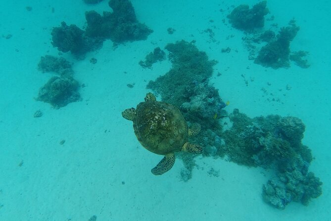 Moorea Solo or Twin Island Tour Jet Ski 4 hours - Photos, videos, and the simple packing list