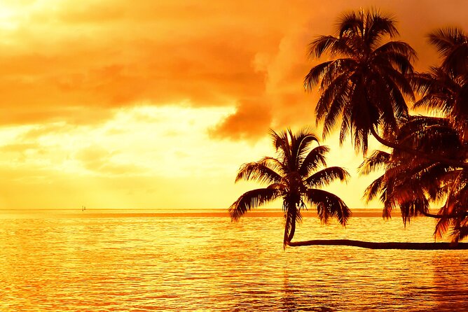 Moorea Sunset Boat Trip - Sunset with a rum cocktail