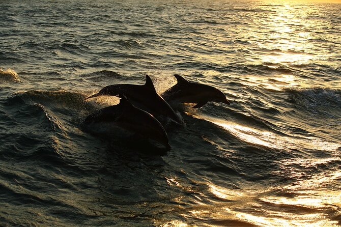 Moorea Sunset Boat Trip - Who will enjoy the yellow boat most