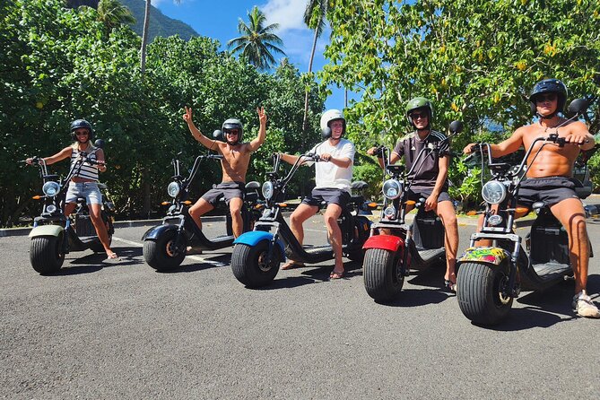Moorea tour in electric citycoco (in autonomy) - Cook Bay and Moorea’s pineapple country